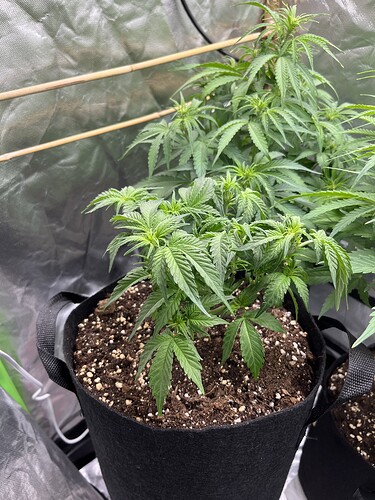 Growreport Bild 11
