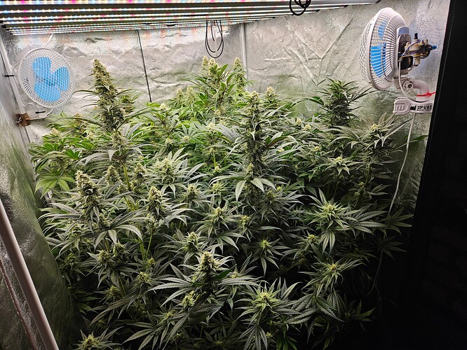 Growreport Bild 21
