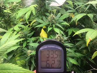 Growreport Bild 7