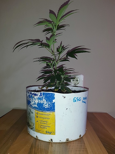 Growreport Bild 10