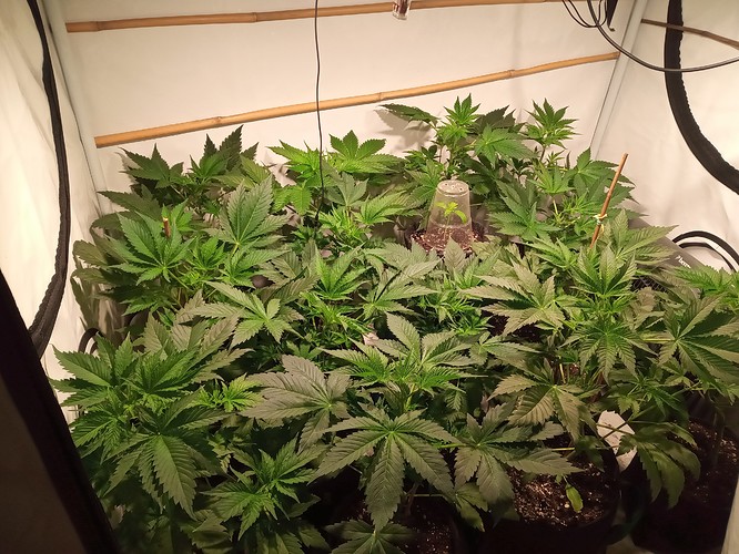Growreport Bild 16