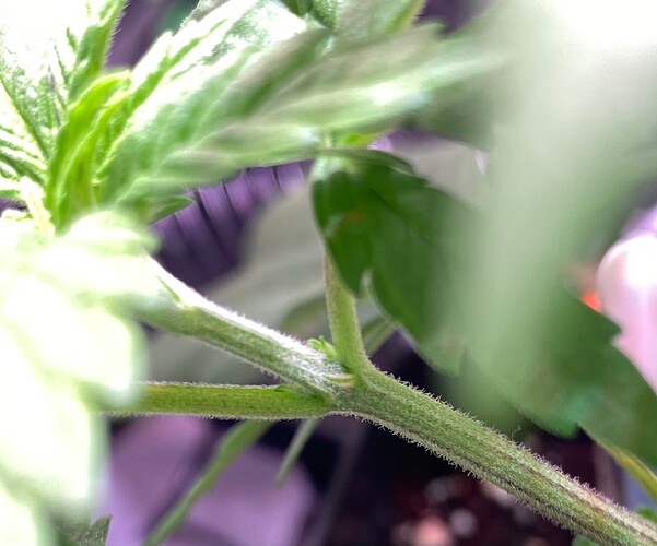Growreport Bild 5