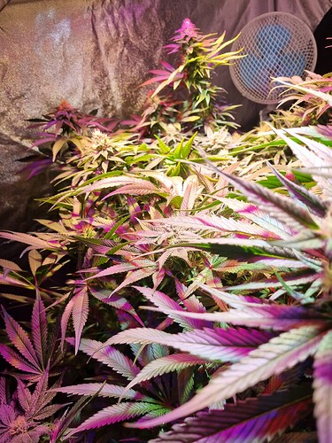 Growreport Bild 5