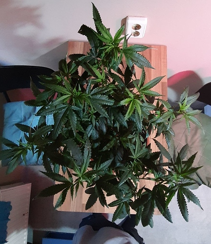 Growreport Bild 14