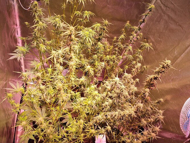 Growreport Bild 14