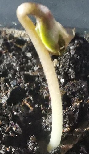 Growreport Bild 8