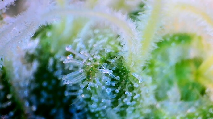 Growreport Bild 12