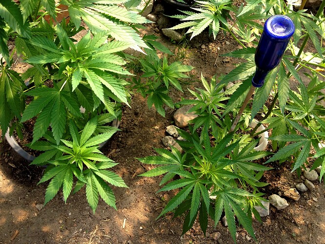 070_SiebterSiebter_13