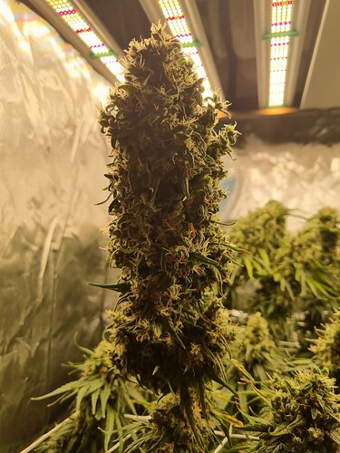 Growreport Bild 12