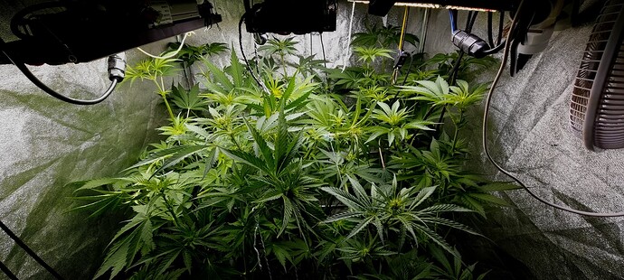 Growreport Bild 6