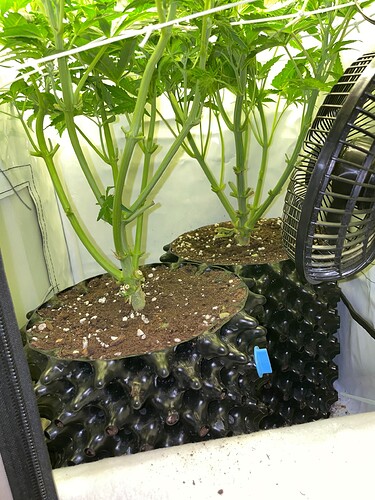 Growreport Bild 22