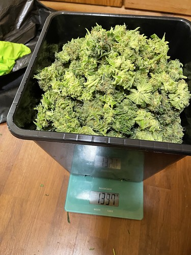 Growreport Bild 53
