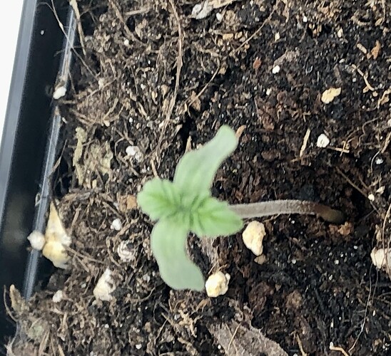 Growreport Bild 2