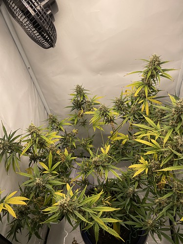 Growreport Bild 7