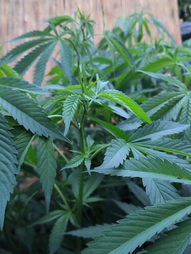 Growreport Bild 21