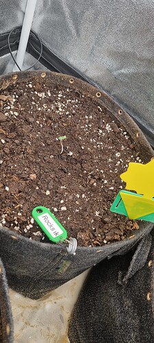 Growreport Bild 43