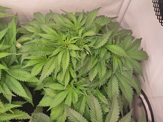 Growreport Bild 23