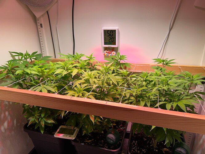 Growreport Bild 1