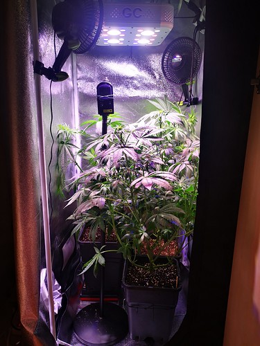 Growreport Bild 18
