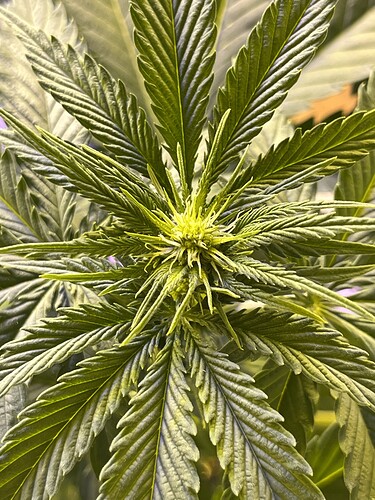 Growreport Bild 4