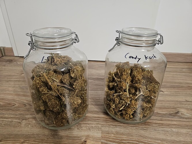 Growreport Bild 41