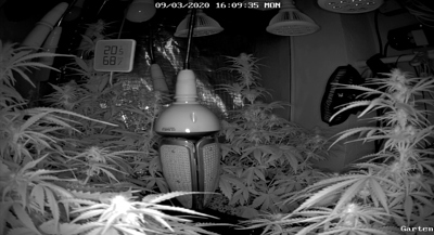 Growreport Bild 1