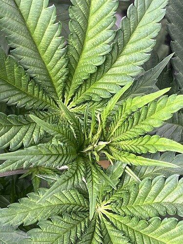 Growreport Bild 8