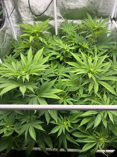 Growreport Bild 16