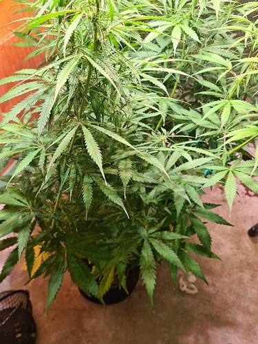 Growreport Bild 15