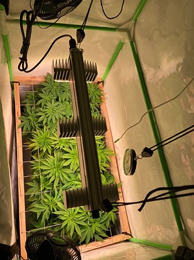 Growreport Bild 5