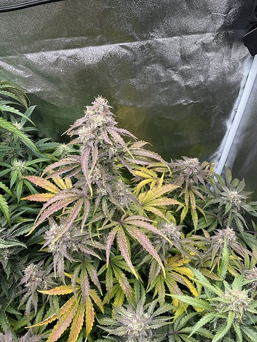 Growreport Bild 18