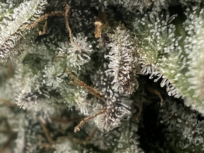 Growreport Bild 21