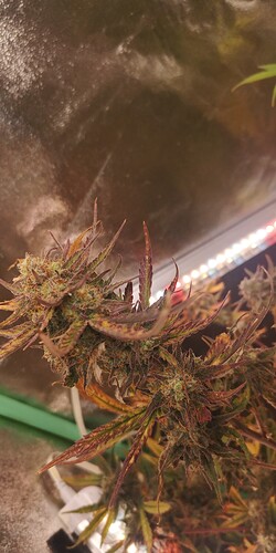Growreport Bild 10