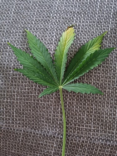 Growreport Bild 17
