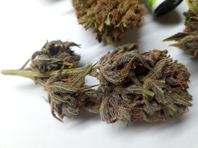 Growreport Bild 2