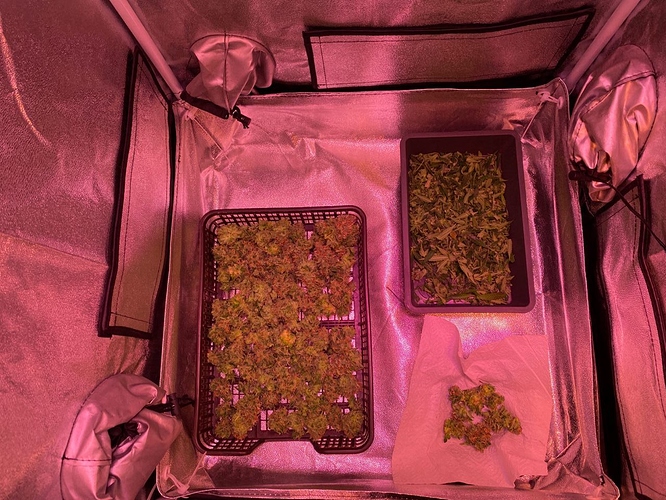 Growreport Bild 10