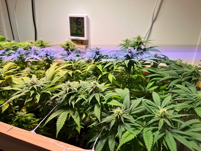 Growreport Bild 8