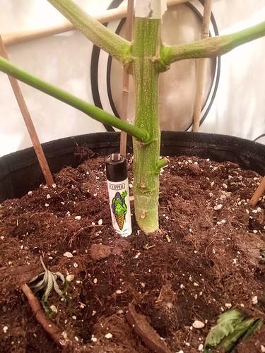 IMG_20210223_203244_607