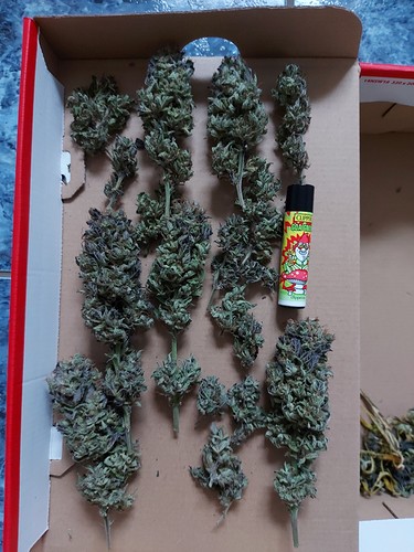 Growreport Bild 26