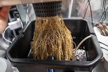 Growreport Bild 5