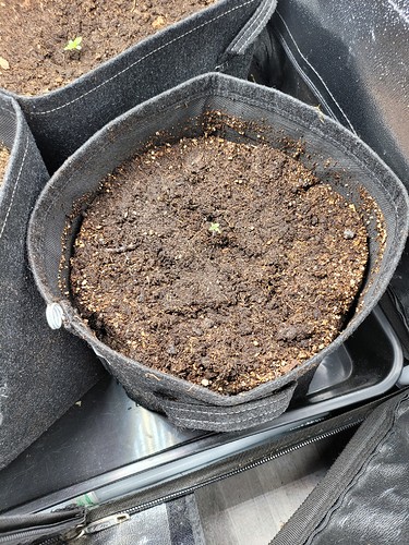 Growreport Bild 5