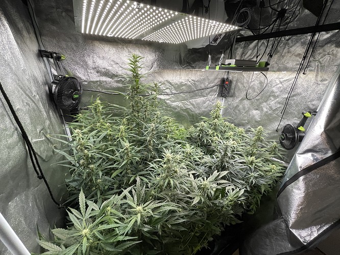 20211108_181635477_iOS