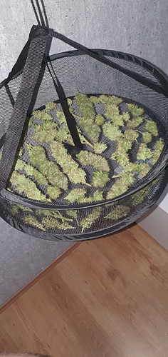 Growreport Bild 1