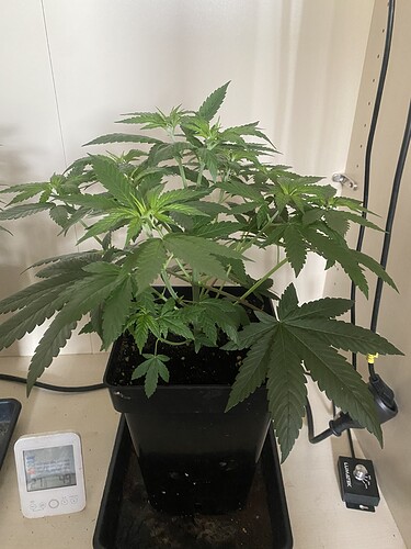 Growreport Bild 13