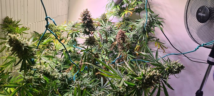 Growreport Bild 20