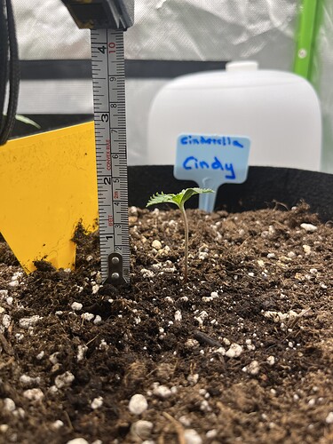 Growreport Bild 22
