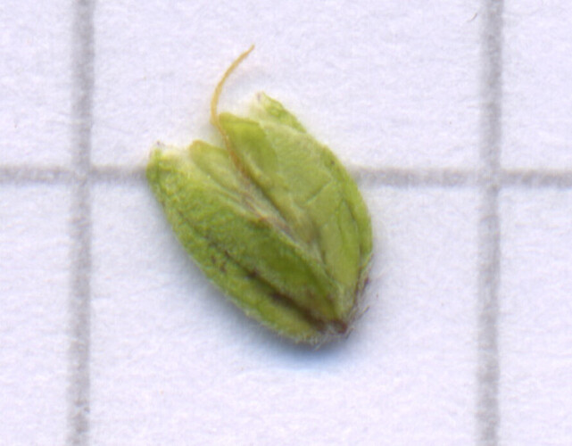 sez01