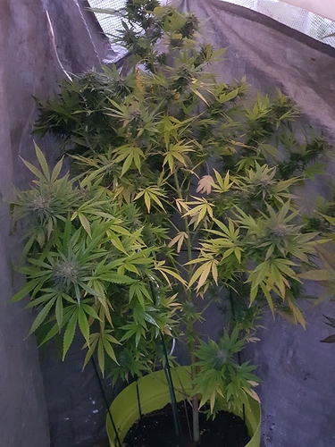 Growreport Bild 10