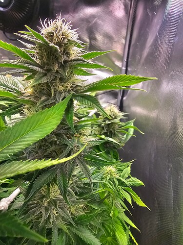 Growreport Bild 22