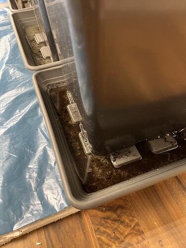 Growreport Bild 7
